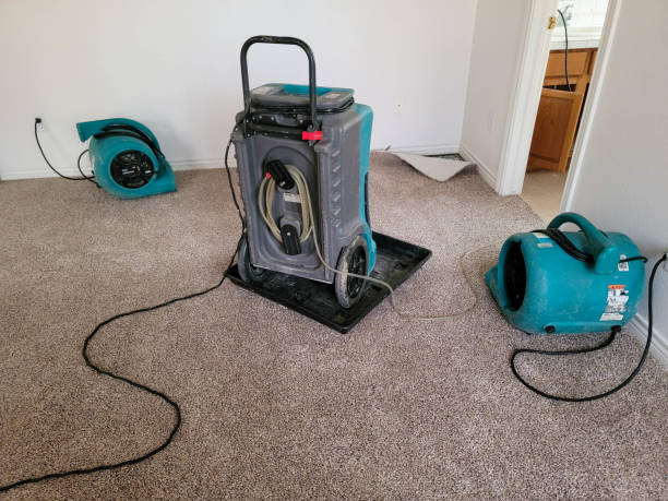 Best Water damage restoration company  in Loretto, PA