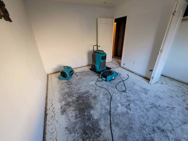 Best Residential water damage restoration  in Loretto, PA