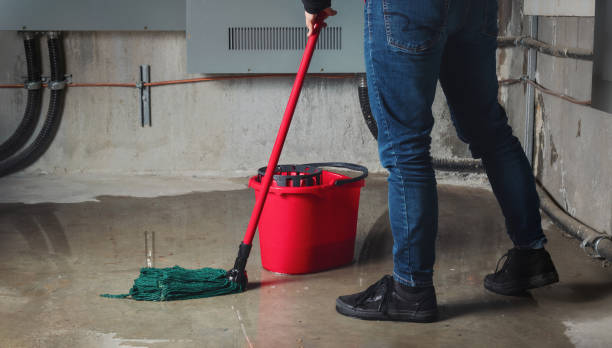 Best Local water damage restoration  in Loretto, PA