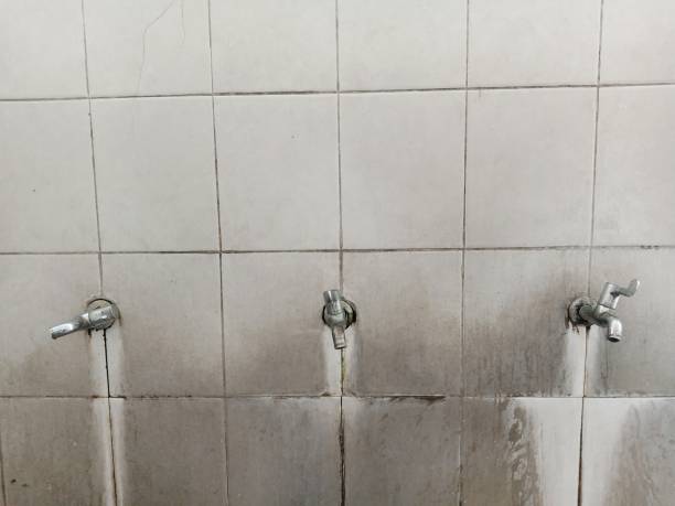 Best Water damage restoration specialists  in Loretto, PA