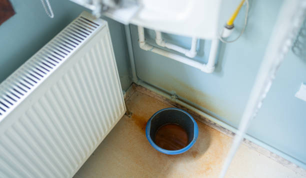 Best Professional water damage repair  in Loretto, PA