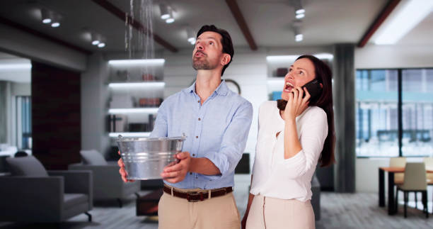 Best Commercial water damage restoration  in Loretto, PA